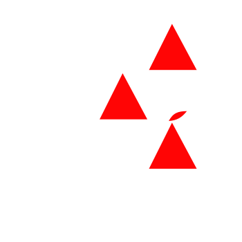 TamanduáTI